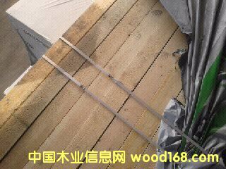 [��] ���_˹ԭ�b������ ���~��