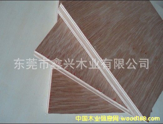 ���� �һ�о���Ӱ�