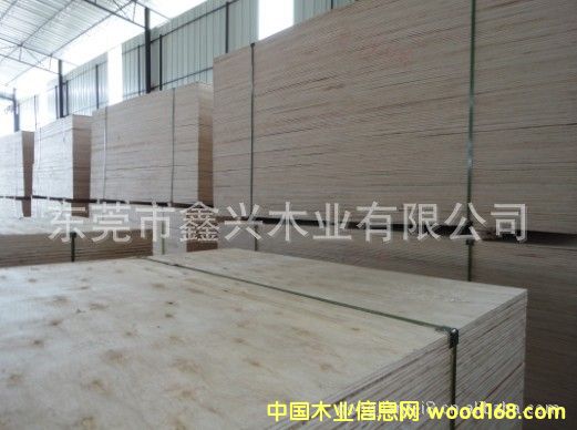 ����(y��ng)��ľ�����z�ϰ�