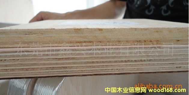 E1��ɳ�l�� ��ľɳ�l�� ���b�� ����ߴ�ӹ�