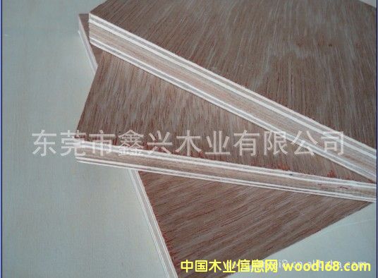 ����(y��ng)���Ӱ� �����z�ϰ�