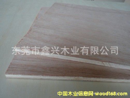 �����һ�оľ��