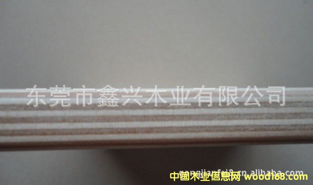 ����ȫ��ľľ��ġ��Ҿ߰�