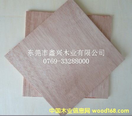 �R���z�ϰ�S