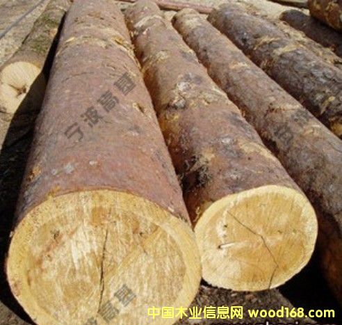 �W�ް��ɣ���ɼ��ԭľ�󏽵�Ԕ����B