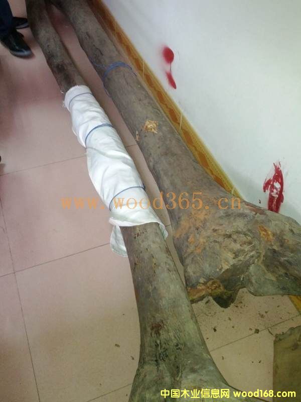 �����S�����Ԕ����B