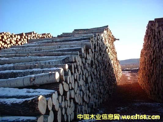 ��ľ��Ԕ����B