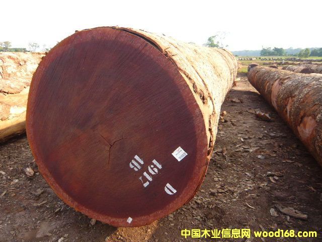 ɳ������Ԕ����B