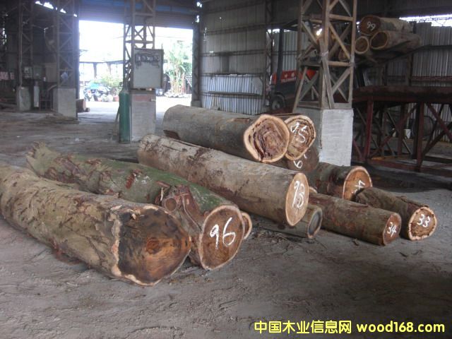 �_����˼ľ���вĵ�Ԕ����B