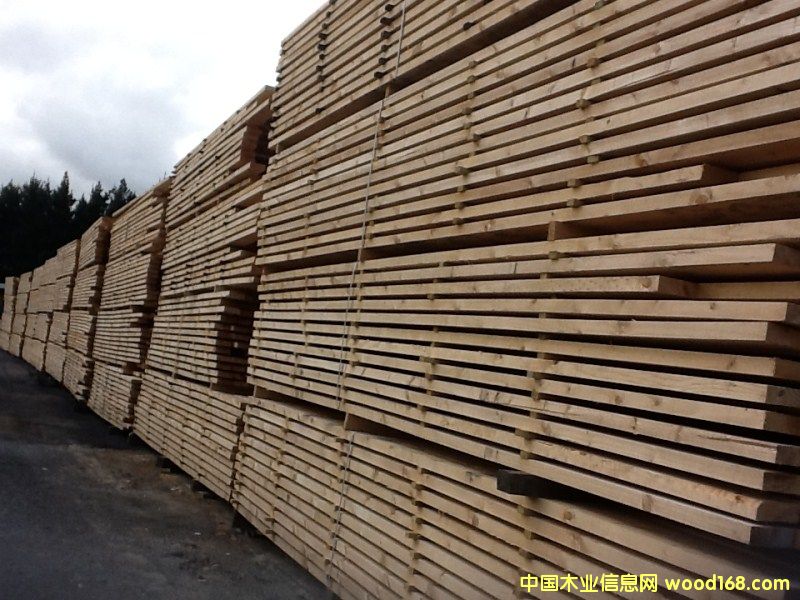 �����mݗ���ɵ�Ԕ����B