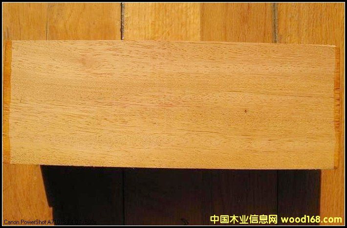 �͵�ľ��Ԕ����B