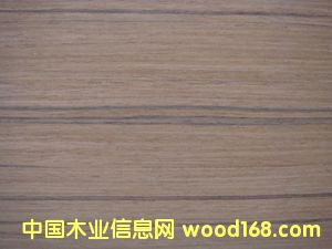 E.V����̴-306