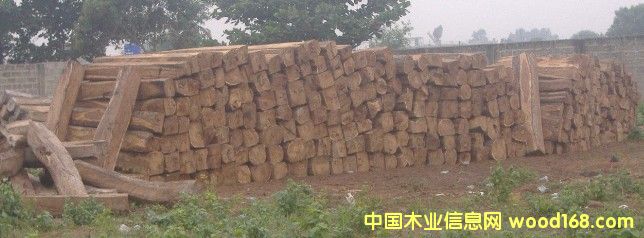 �����淽ľ��Ԕ����B