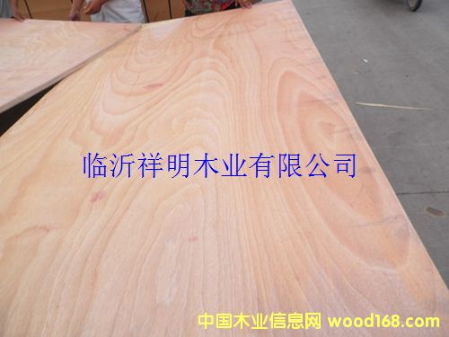 �z�ϰ�6����b���һ��������о