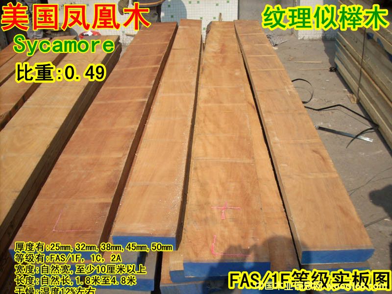 ������ͩľ��Ԕ����B