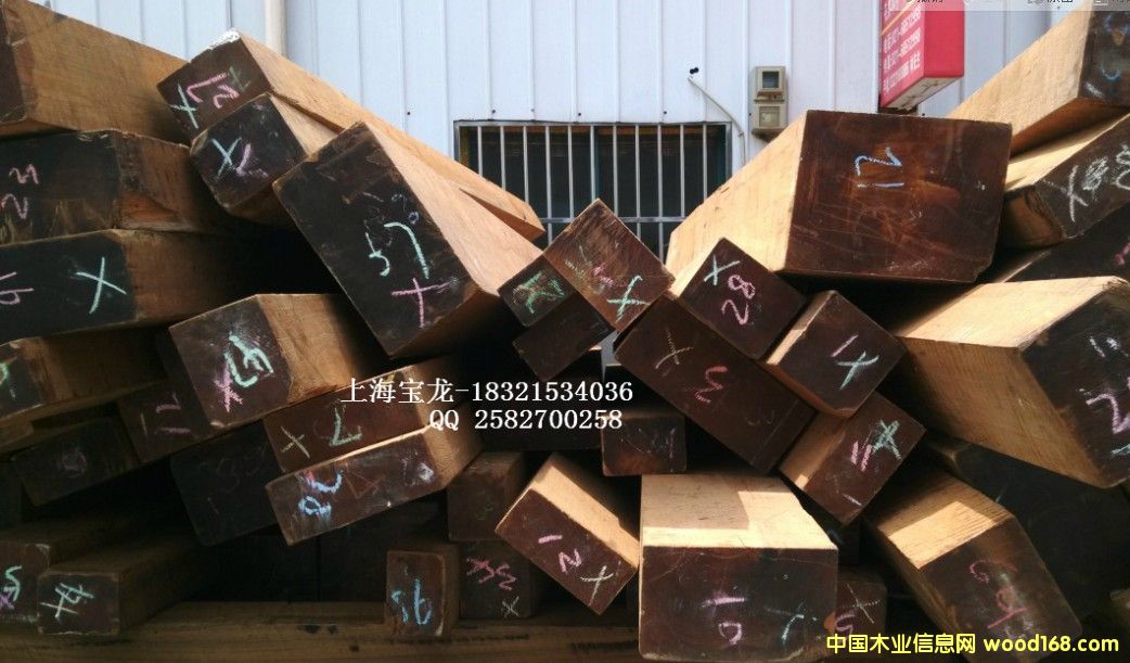 ������ľ��Ԕ����B