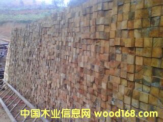 �׿��ϵ�Ԕ��(x��)��B