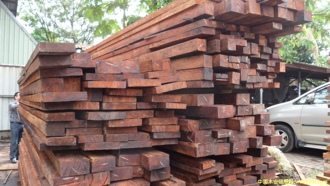 ���޲��}���Ԕ����B