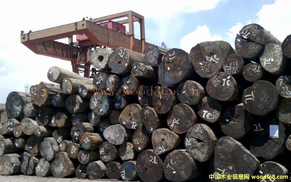 ɽ��ľ��Ԕ����B