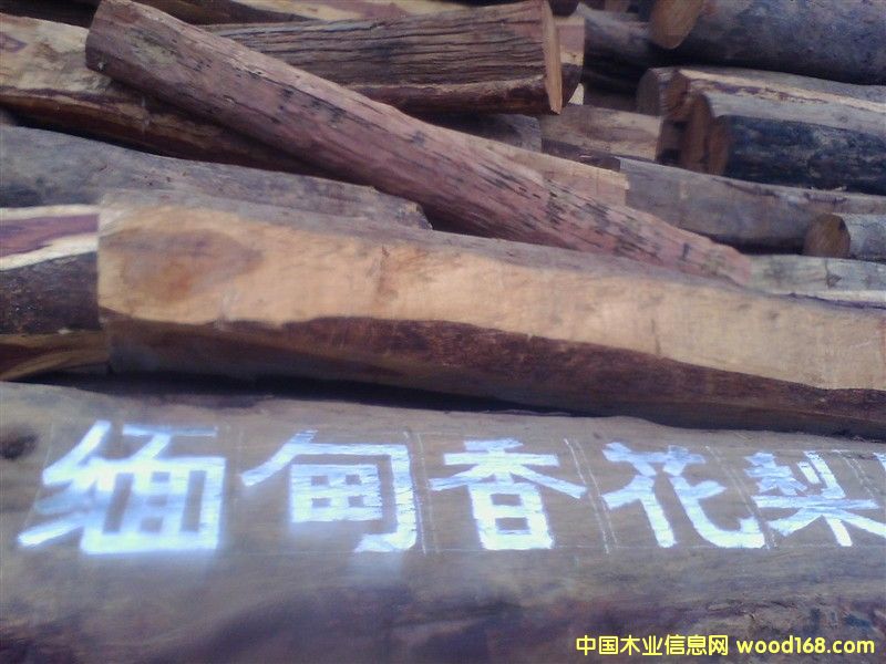 �����㻨��