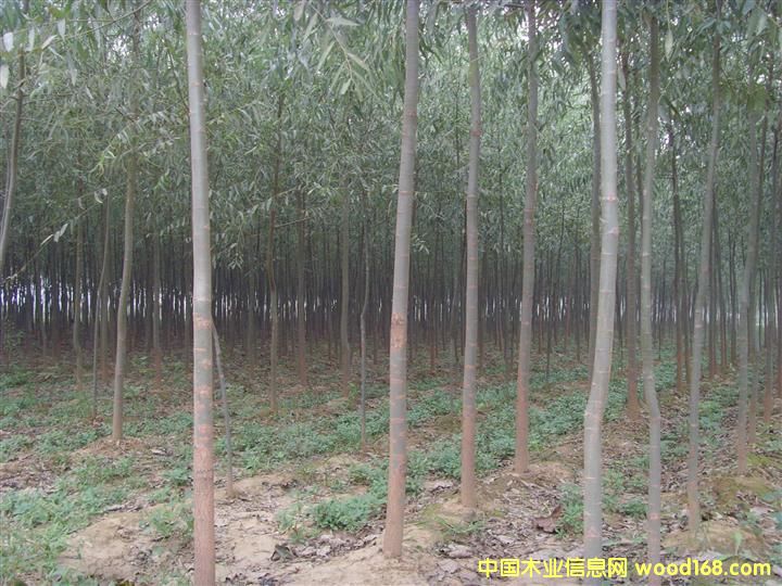 �ؑc���������� �_ƽ���������� �Ƹ����������繩��