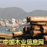 �c(di��n)���鿴ɭ���J(r��n)�C��ʲô���������������Ԕ��(x��)�Y��