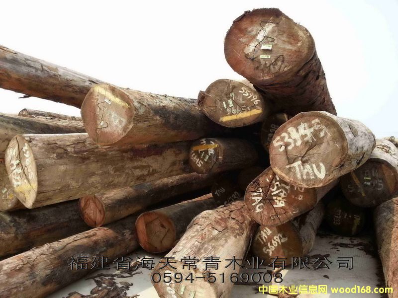 TAU��ľ/������