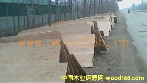 �N����Ԕ����B