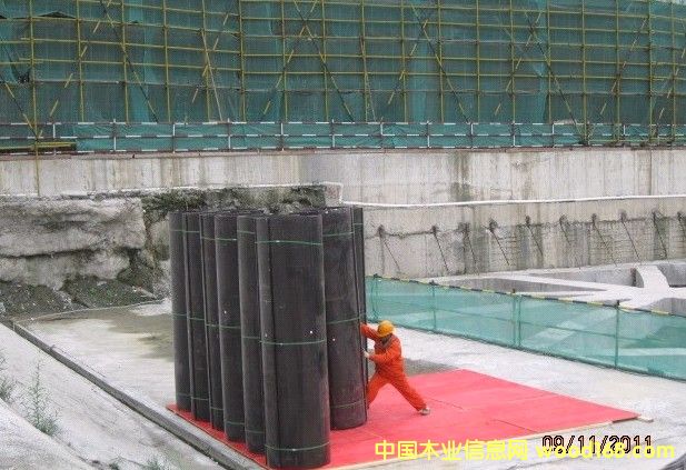 �c���鿴�A��ģ��Ŵ�DƬ