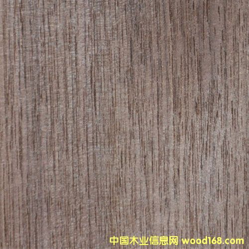 �c���鿴�ں���ľƤ�Ŵ�DƬ