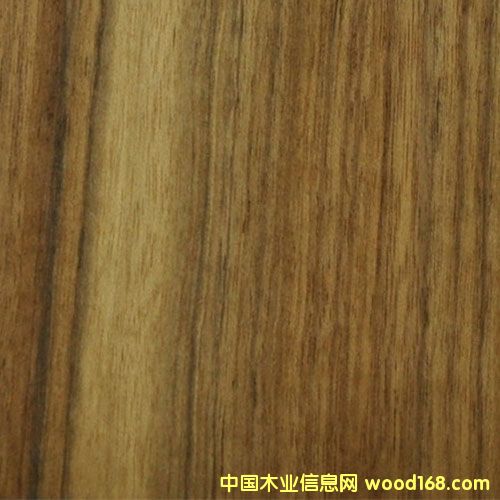 �c���鿴��ľľƤ�Ŵ�DƬ