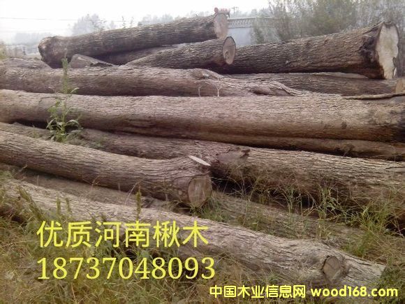 �ľԭľ��Ԕ����B