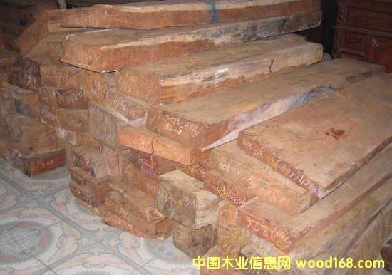 ��������ľ��Ԕ����B