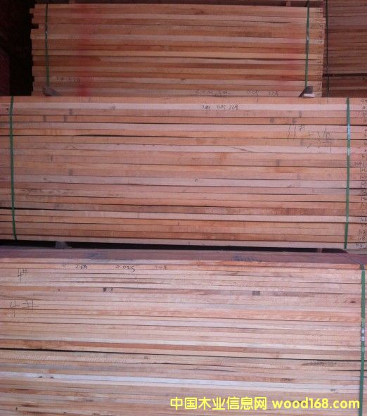 欖仁木的詳細介紹