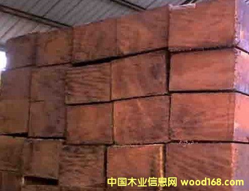 菠蘿格的詳細介紹