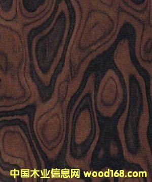 ���Ҙ��  �ߙn�Ҿ�ľƤ��Ԕ��(x��)��B