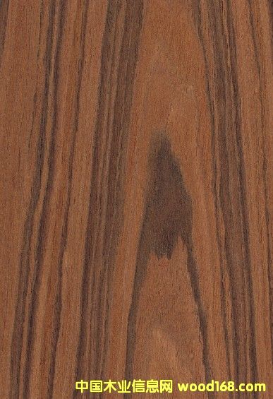 ��֦��Ԕ��(x��)��B