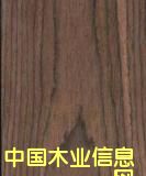 �S��ľƤֱ�N��Ԕ��(x��)��B