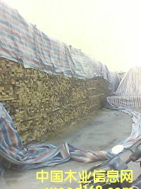 ��������̴|����ľ��|����ľ��|ӡ��|�S��|�����M(j��n)�����P(gu��n)  