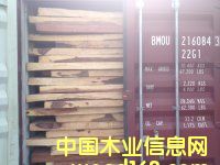 ��ρľ|��̴|�������ľ|�\�~�Kľ|�S��|�����M�����P