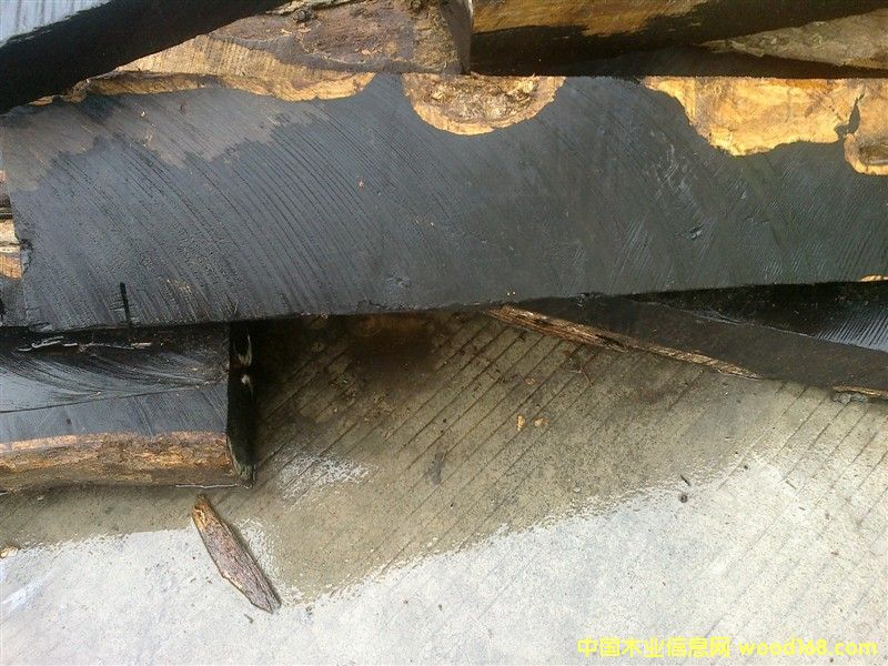 �t��|����|�t̴|����ľ|��ɫ��|���Kľ|�S��|�����M(j��n)�����P(gu��n)