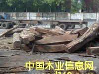 ���s������|���ӗ�ľ|���F����|�S��|�����M�����P