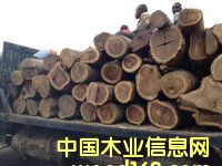 ���p���궹|���L�Kľ|�灆�ǿ����|�S��|�����M�����P