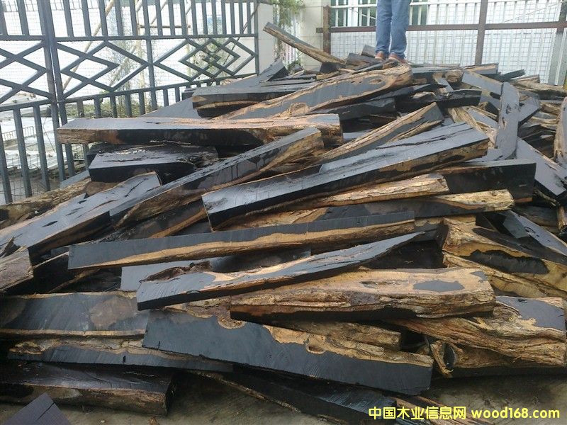 Ƥ��|����̴|���S̴|����֦|��̴|��̴|�S��|�����M�ڈ��P