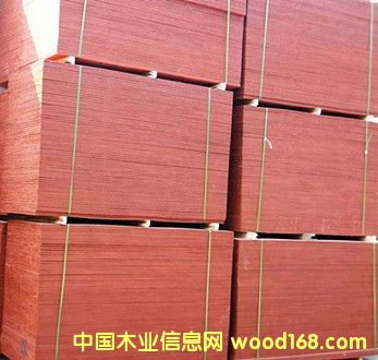 �ߏ�(qi��ng)�Ƚ���ľ�z�ϰ�