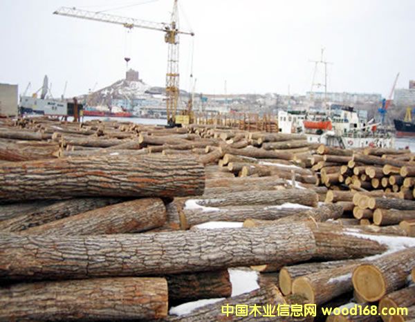 ���_˹ľ�ĸۿ� ��Ԕ��(x��)��B