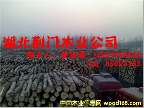 ������ُ����ľ�ĵ�Ԕ����B