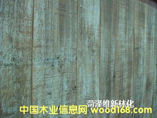 ľ�����f����Ԕ����B