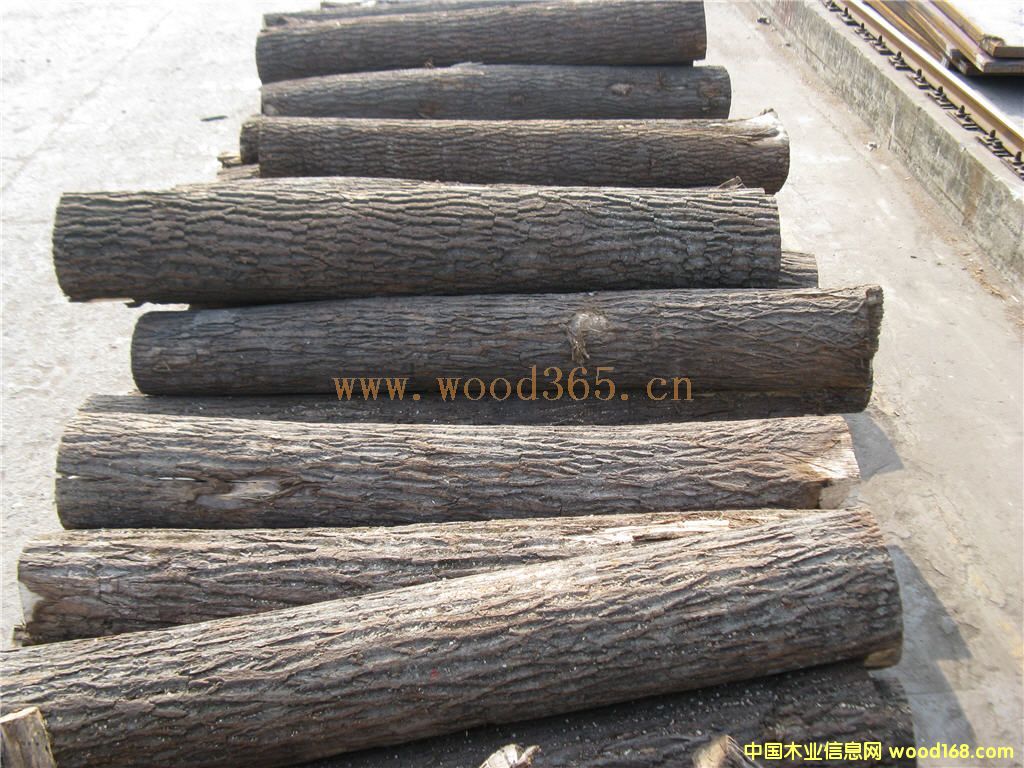 �ľ���ĵ�Ԕ����B