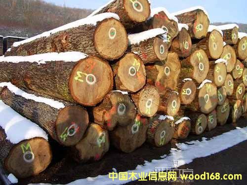 ��ľ���ĵ�Ԕ����B